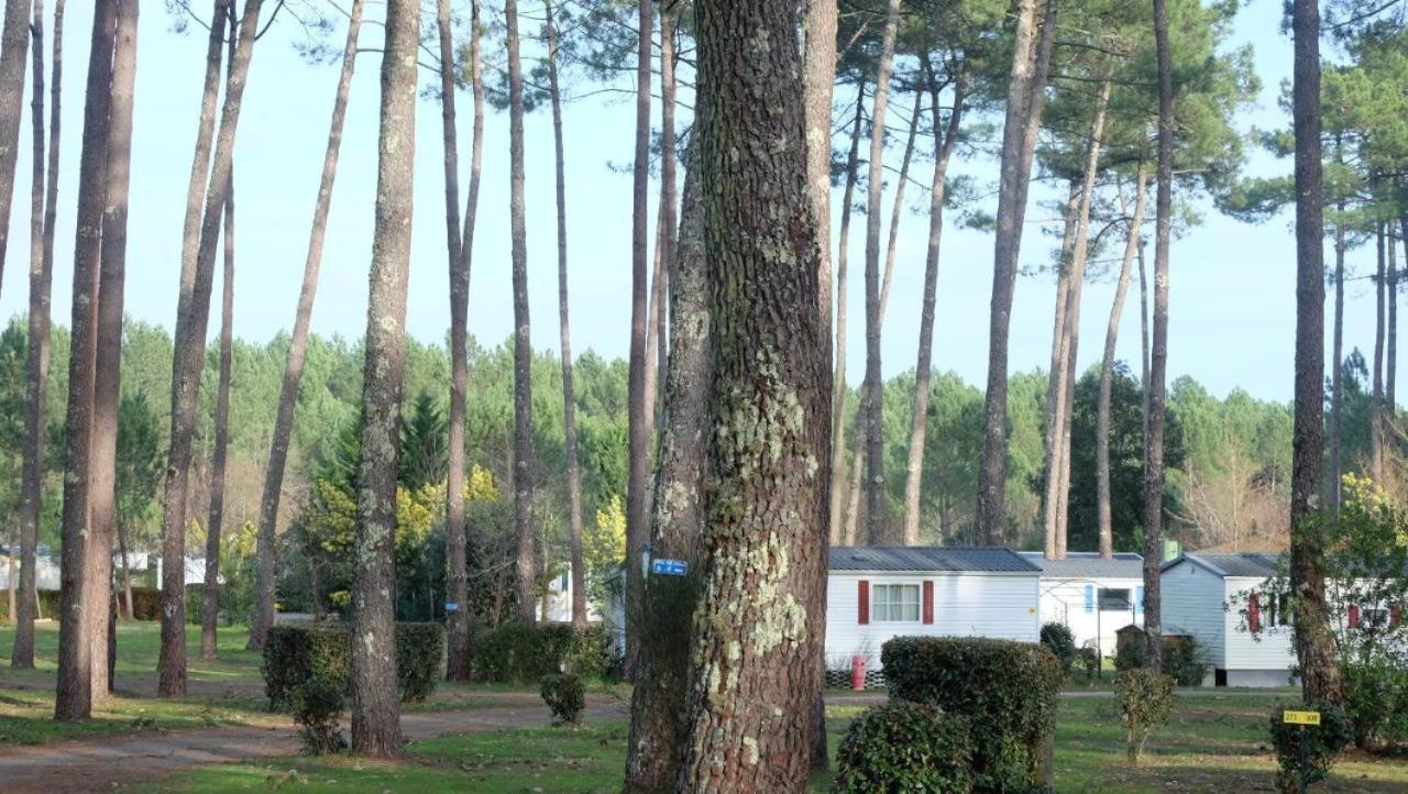 Mobil Home Rainbow, Camping Les Dunes De Contis Saint-Julien-en-Born Room photo